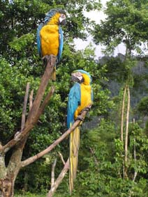 Peru2