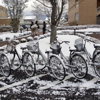 japan snow fall