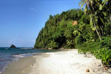 Dominica: The Real Caribbean