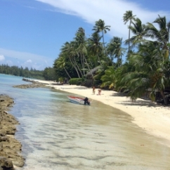 My Dolphin Adventure In Tahiti