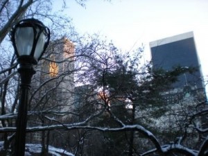 nycwinter