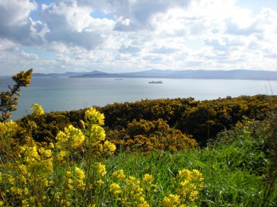 Ireland Trip: Day 3 (Scones, Castles And U2)