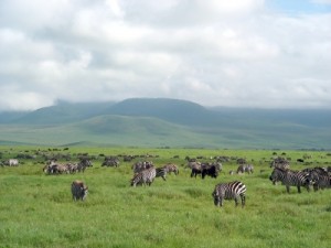 tanzania