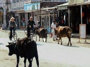 bike through asia