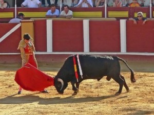 Bullfighting