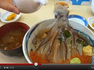 odori-don