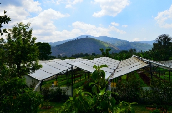 Guatemala1