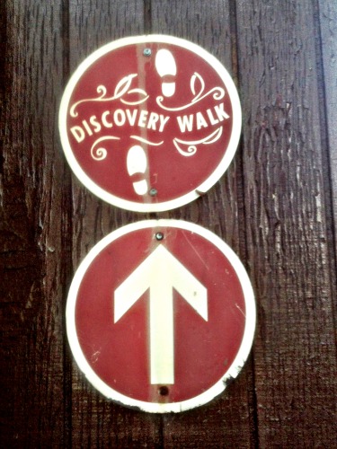 DiscoveryWalk