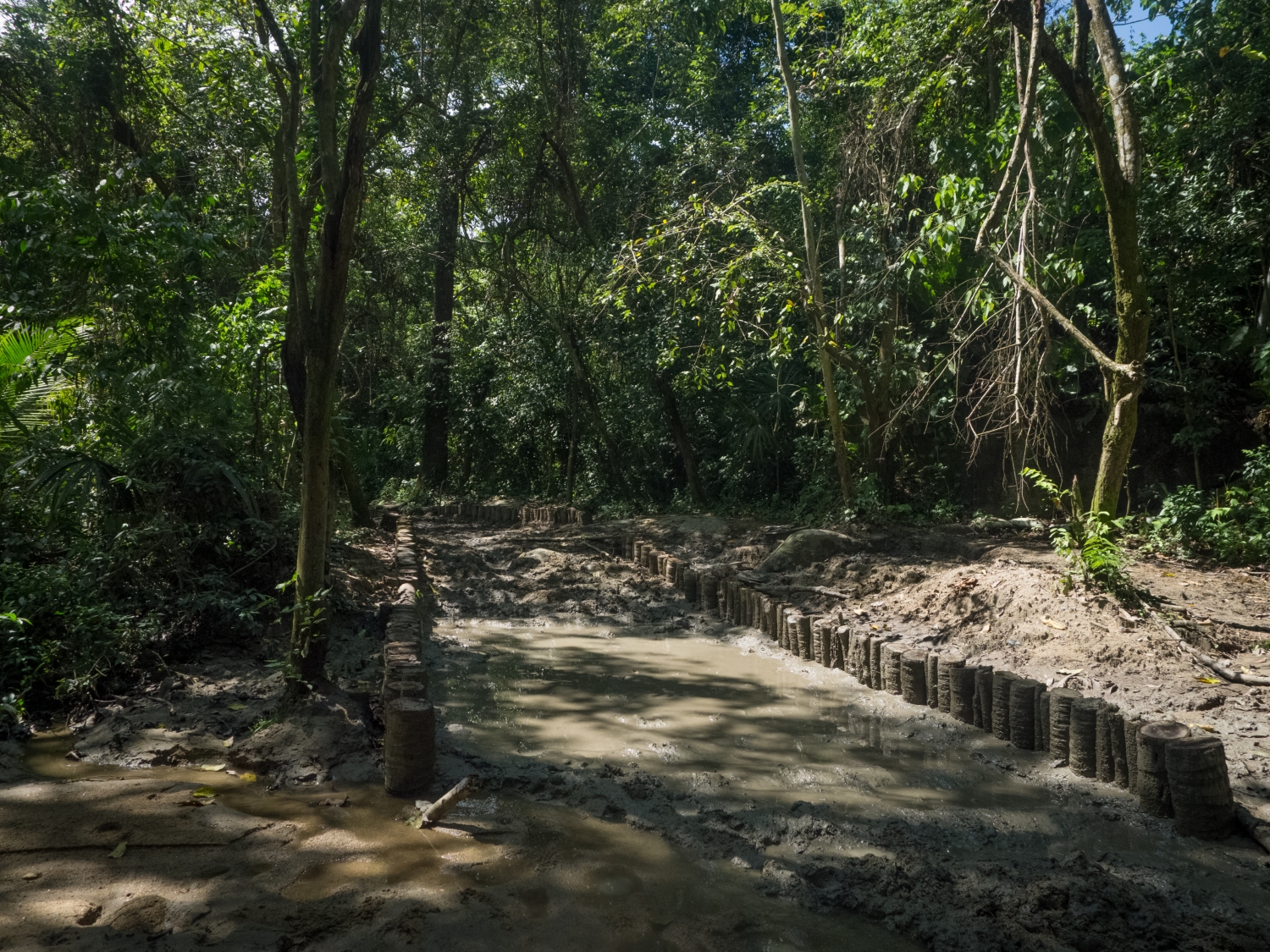 Feeling Tiny In Colombia’s Tayrona National Park3