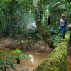 Into The Amazon Bolivias Gateway To The Jungle2