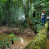Into The Amazon: Bolivia’s Gateway To The Jungle