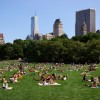 Top 10 Free Things To Do In New York City This Summer1